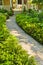 Stone path in landscaped home garden