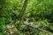 Stone Path by Little Stony Creek