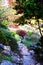 A stone path in Preston Park rockery garden.