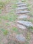 Stone path  Sparse grass Abstract Background