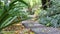 A stone path through strong tropical green vegetation. Jungle, huge trees from which leaves fall.