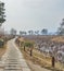 Stone path surrounded by pondy and trees, heading to the river at Yangpyeong, South Korea