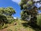 Stone path to the top of the mountain