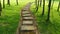 Stone path with trees