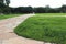 Stone paths in the park. A green lawn and a growing shrub.