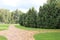 Stone paths in the park. A green lawn and a growing shrub.