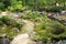A stone pathway through moss covered ground with rocks, small plants and a small pond