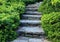 Stone pathway winding through a lush green garden