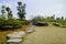 Stone-paved path in flowering hillside on sunny spring day