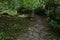 Stone paved path in park during spring season, hidden in shade of decorative shrubs and trees