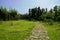 Stone paved path in weedy lawn on sunny summer day