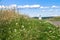 The stone-paved trail through the Bogolubovo meadow towards Church of the Intercession of the Holy Virgin on the Nerl River.