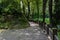 Stone pavement and balustrade by lotus pond