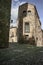 Stone pavement full of green moss at Caceres, Spain