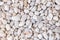 Stone pebbles texture or stone pebbles background for design.