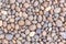 Stone pebbles texture or stone pebbles background. stone pebbles for interior exterior decoration design.