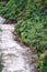 Stone Penetrating Landscape of Forest Rivers