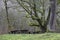 Stone Picnic Tables In Park During Rain