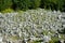 Stone piles cairns in the Ruskeala Mountain Park, Karelia, Russia