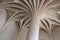 stone pillar and vault in a gothic castle - nantes - france