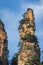 Stone pillar in Zhangjiajie National Park