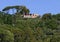 Stone pines and a luxury villa atop a hill in Portofino, Italy.