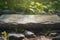 Stone platform, rock podium against a background of green plants in the sun