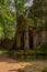 Stone portico covered in moss among trees