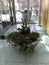 Stone pot with tropical plant in lobby in front of glass door.