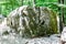 Stone in prehistoric career in Shapsugskaya zone