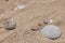 Stone put in human foot shape on sand, hot summer day, coastline, sandy beach