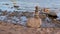 Stone pyramid of 7 stones against the backdrop of the sea bay.