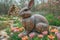 A Stone Rabbit\\\'s Gaze Fixed on the Treasure of Flowers in the Easter Garden