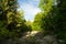 Stone River natural phenomenon in Vitosha Natural Park near Sofia, Bulgaria. The Golden Bridges area