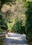 Stone road at the park in Nikko, Japan