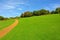 Stone road running through green meadow