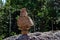 Stone Rock Cairn stack in outdoor setting. Balanced rocks creating stack as trail marker.