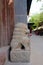 Stone rock lion statue in Tulou Temple of Beishan Mountain, Yongxing Temple in Xining Qinghai China