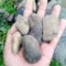 Stone rocks small stone dry ston
