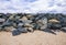 Stone rocks on the wild beach