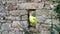 Stone ruined window on lost house