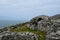 Stone Ruins of Clochan Beehive Huts