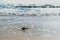 A stone sank in the sand at a beach. Which has waves washed ashore all the time during the monsoon