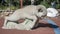 Stone sculpture of a bighorn ram in the Founders Play Area of Vail Village, Colorado