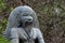 Stone sculpture of a deity in a rural village in tamil Nadu south india asia