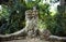 Stone sculpture of a group of monkeys live monkey in a tropical green forest