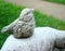 Stone sculpture little sparrow in the Park on a green background