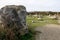 Stone sculpture park in England