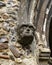 Stone Sculpture at Thaxted Parish Church in Essex, UK