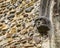 Stone Sculpture at Thaxted Parish Church in Essex, UK